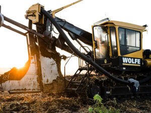 Excavation